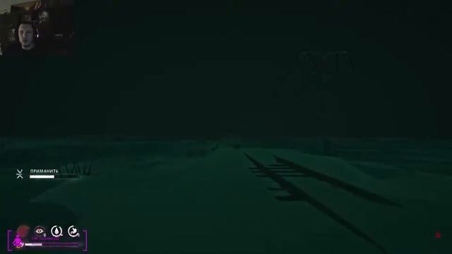 The Long Dark смотреть онлайн
