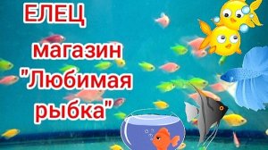 Аквариумные рыбки