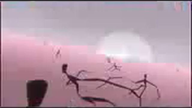 Soul Eater AMV (Sick Puppies - You're going down) смотреть онлайн