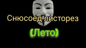 мини эпизод из фильма мир снюсоедов листовой снюсоед #1(лето)