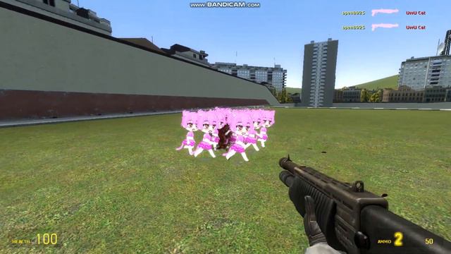 Gmod Kill UwU Cat смотреть онлайн