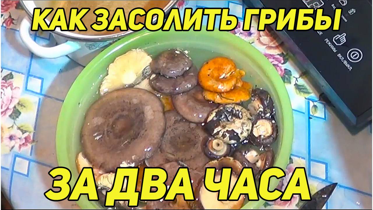 Как засолить грибы за два часа. ( грузди, рыжики, волнушки, гладыши ) Простой и эффективный способ смотреть онлайн