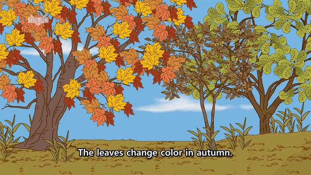 Four Seasons Of The Year | Spring, Summer, Autumn, Winter | Stories For Kids