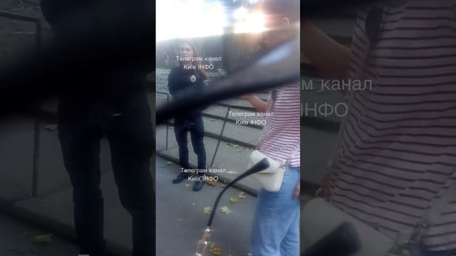 Свиньи из тцк опять похитили овцу смотреть онлайн