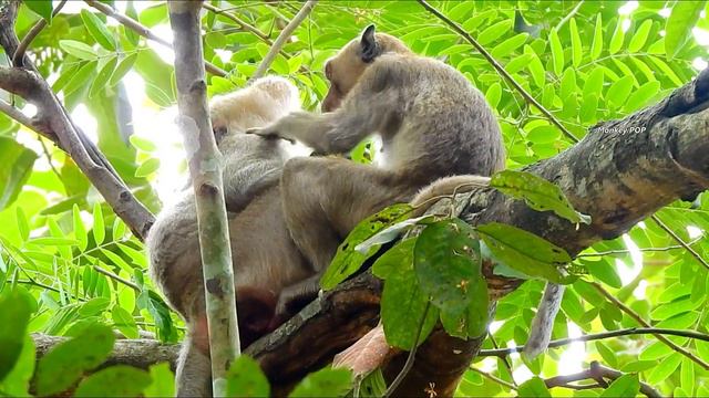 MUMMY I'M HERE ! Lucas very fear cry sad sound call mom help | Lucas cry in hands kidnapper. смотреть онлайн