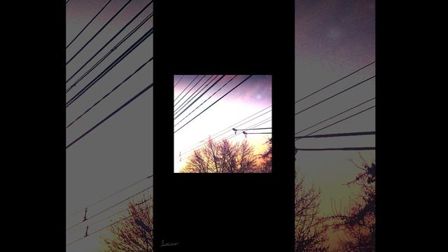 Зимин - По инерции (short)