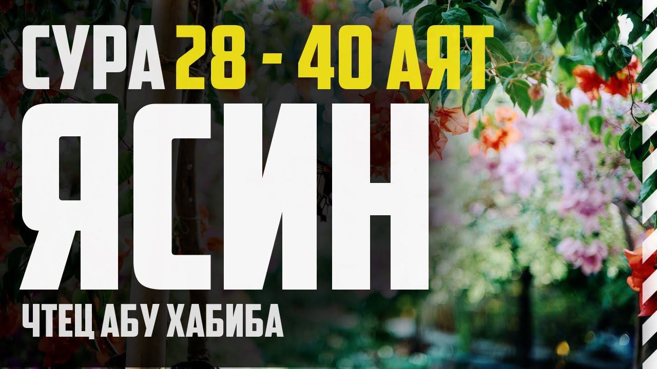 Cура Ясин 28-40 аят. Абу Хабиба