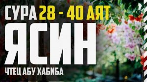 Cура Ясин 28-40 аят. Абу Хабиба