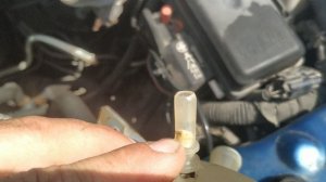 Течь антифриза. Форд Транзит 2008 г