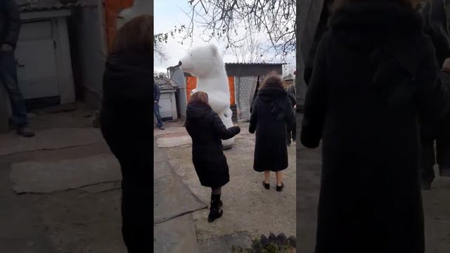 Поздравление от мишки и родных #аниматоры #деньрожденье #мишки #сюрприз #ростовскаяобласть #Россия смотреть онлайн