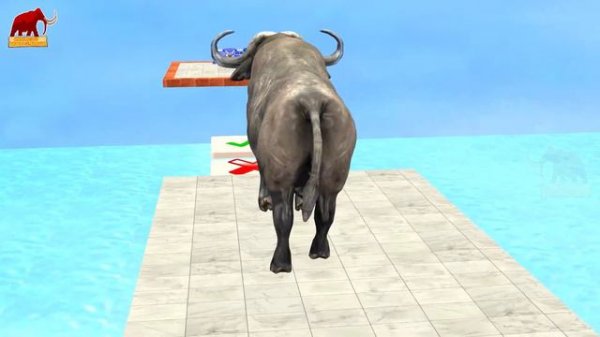 Mystery Box Challenge 📦 with Cow Tiger Elephant Mammoth Buffalo DESTINY RUN CHALLENGE with Gorilla