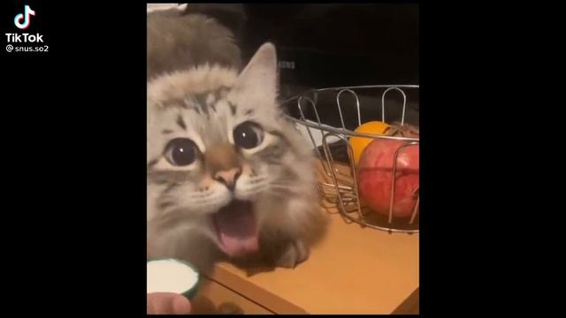 🤮🤮🤮 смотреть онлайн