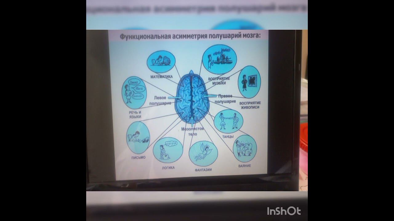 Нейропсихологический подход в работе с детьми с тяжелыми нарушениями речи смотреть онлайн