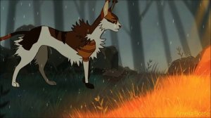 ЗАКАЗ Коты Воители Сол: Кукла колдуна [Король и Шут]