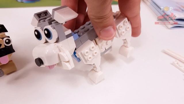 LEGO® Creator 3in1 Adorable Dogs (31137)[475 Pcs] Schnauzer & Pug | Husky & Dachshund | TBB