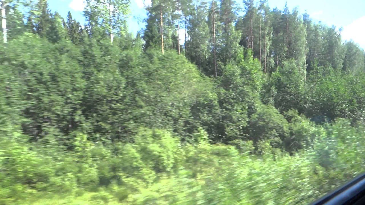На перегоне Токари - Ладва
