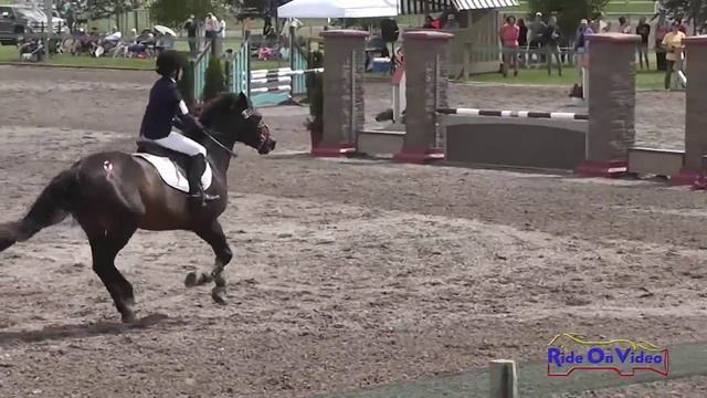 600S Sophie Horn SR Novice Show Jumping The Event at Rebecca Farm July 2015 смотреть онлайн