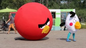 Огромный шар Энгри Бердс Теренс. Аниматор Энгри Бердс Матильда и шар Теренс.