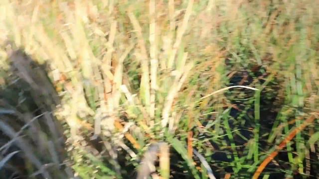 Weekend Away and Sleepover At The Beach With My Friends - Millie and Chloe DIY смотреть онлайн