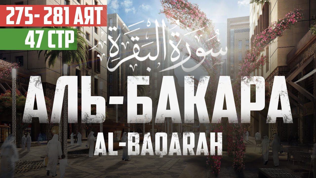 Cура аль Бакара 275 - 281 аят Абу Хабиба | Sourate al Baqarah | سورة البقرة смотреть онлайн