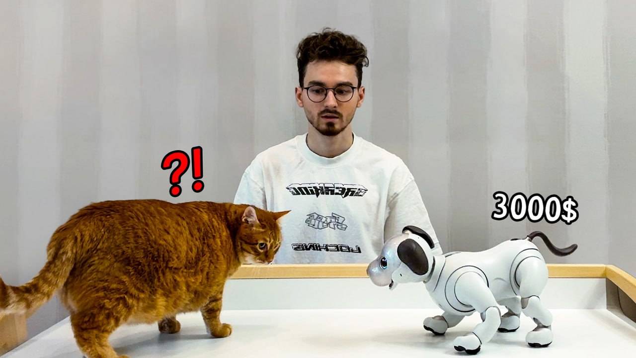 Заменил Своего Кота Роботом за 3000$ (Брайн Мапс) смотреть онлайн