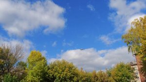 DJI Neo says its NOT SUITABLE for THIS | Manual Mode LOS Acro Aerobaticsект