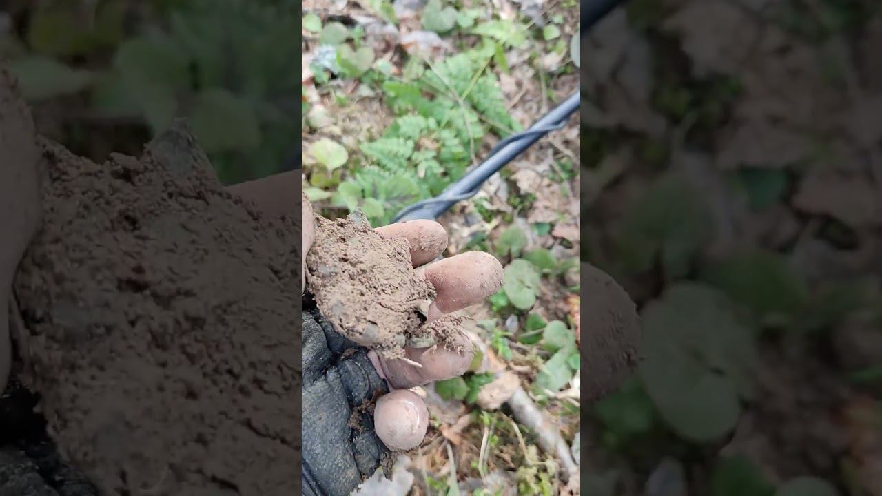 Окопное Творчесто смотреть онлайн
