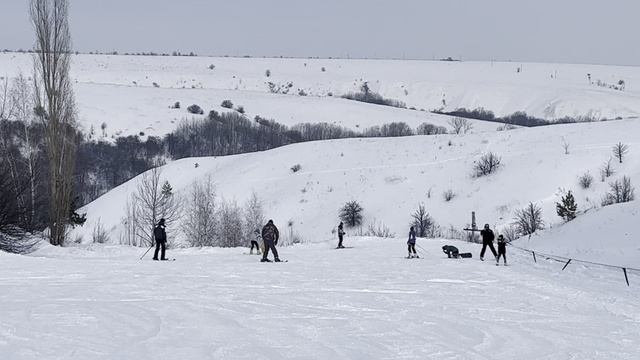 Первый раз встал на лыжы 23.01.2022 смотреть онлайн