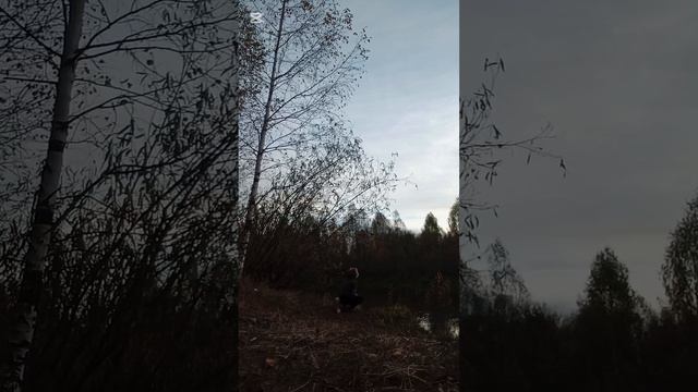 💚 смотреть онлайн
