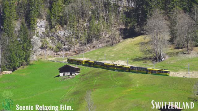 SWITZERLAND Relaxing Film Winter to Spring Relaxing Music смотреть онлайн