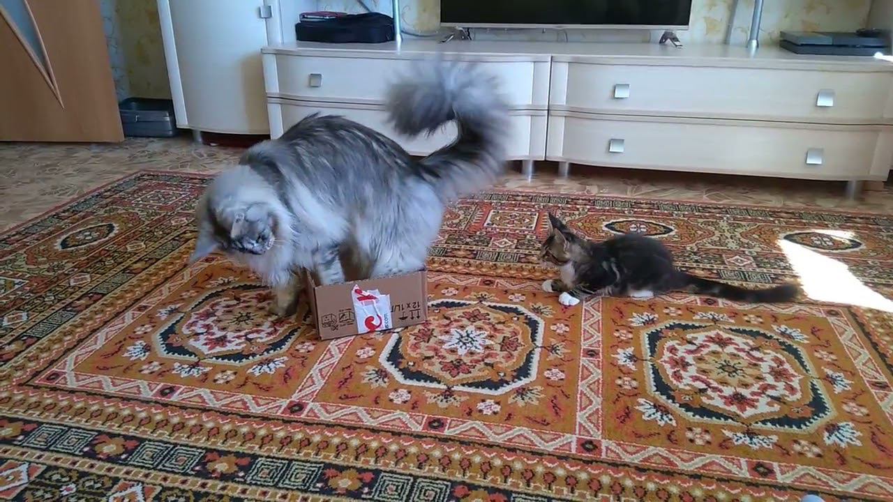 Как знакомились Тор и Ларс смотреть онлайн