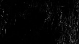 4_Tankista_i_Sobaka_012_Olgerd 12 серия