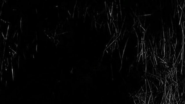 4_Tankista_i_Sobaka_012_Olgerd 12 серия