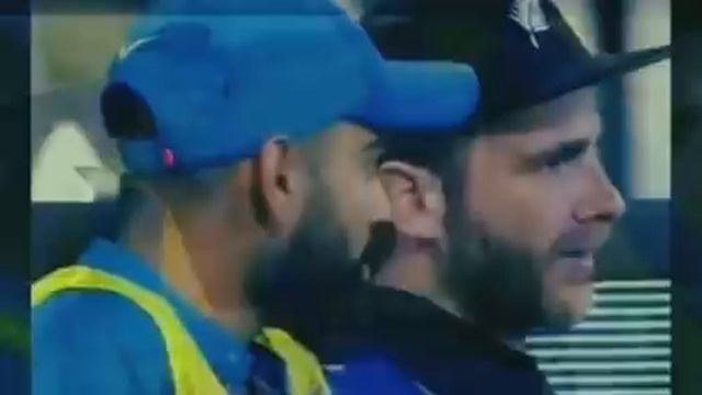 Bromance 💙💚 Virat kholi and Williamson ❤ смотреть онлайн