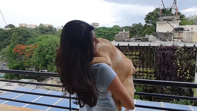 My smile keeper and my pain killer Bunny The labrador смотреть онлайн