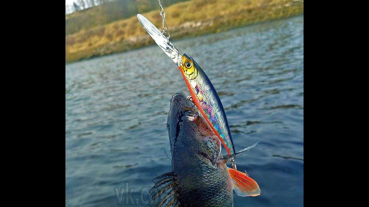 Копия воблера - Lucky Craft Staysee 90 - с Алиэкспресс