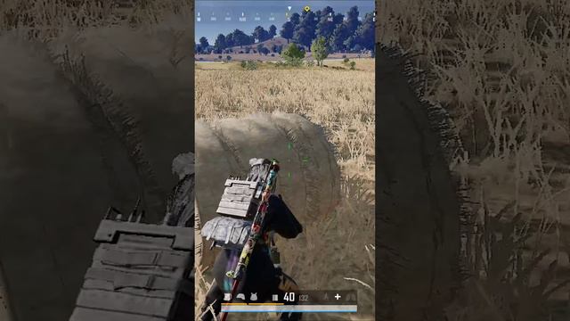 ПОВЕЛСЯ #SHORTS #pubg