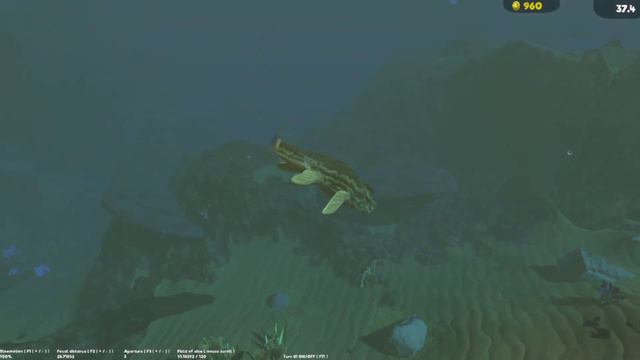 Feed & Grow Fish Bonrex Vs Megalodon смотреть онлайн