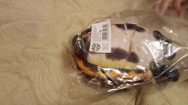 Распаковка черепахи Блоптоп смотреть онлайн