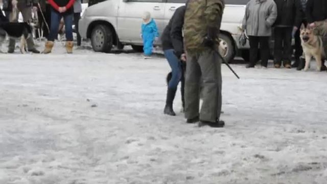 DSC 0217 Лобовая Ермак смотреть онлайн