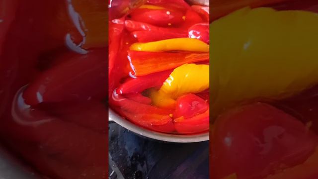 САД И ОГОРОД