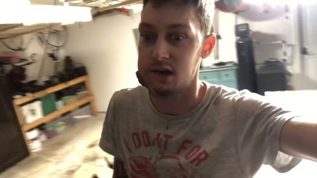 Show It!!!! FINE!!! смотреть онлайн