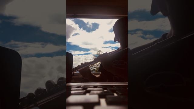 Bobby Timmons- Moanin ( Backing Track Cover) #improvisation #jazzmood смотреть онлайн