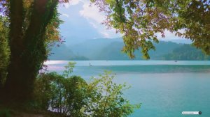 Коран сура Аз-Зумар видео 4к Миншави -Minshawiy