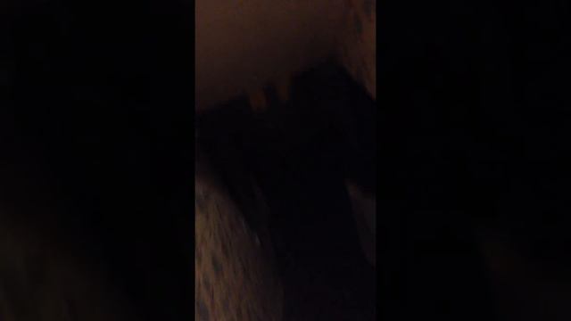Beat my bro (FIFA 16) crying смотреть онлайн