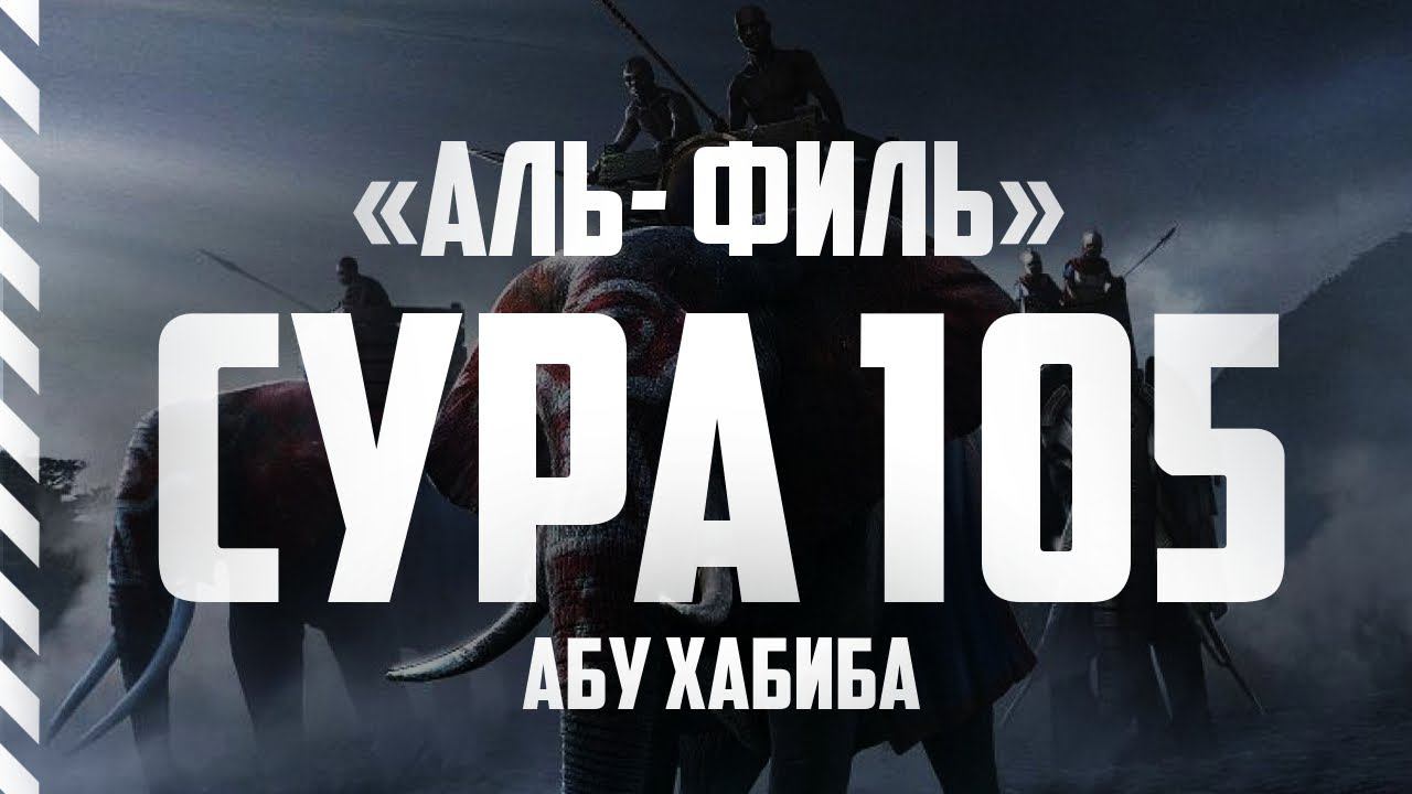 Сура Филь Абу Хабиба смотреть онлайн