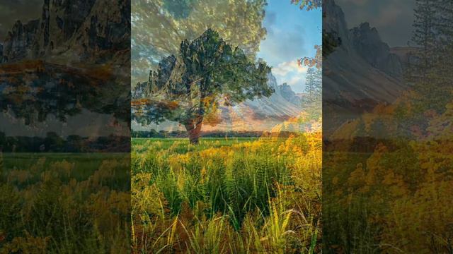 Красивая подборка