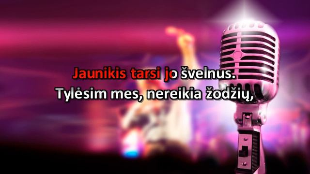 Stasys Povilaitis - Palauk manes KARAOKE смотреть онлайн