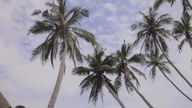 Юлия Бирюлина - Остров Счастья (Madonna cover) смотреть онлайн