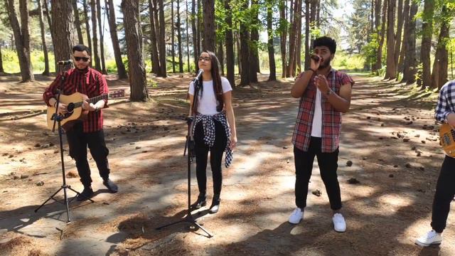 O CARPINTEIRO - Alessandro Vilas Boas | (Cover by Felipe Ramos) смотреть онлайн